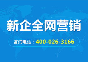 新企網(wǎng)解析 網(wǎng)絡營銷策劃的常用技巧與企業(yè)實操指南